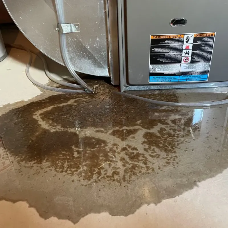 Pipe Burst and Leak Restoration in Allison Park, PA